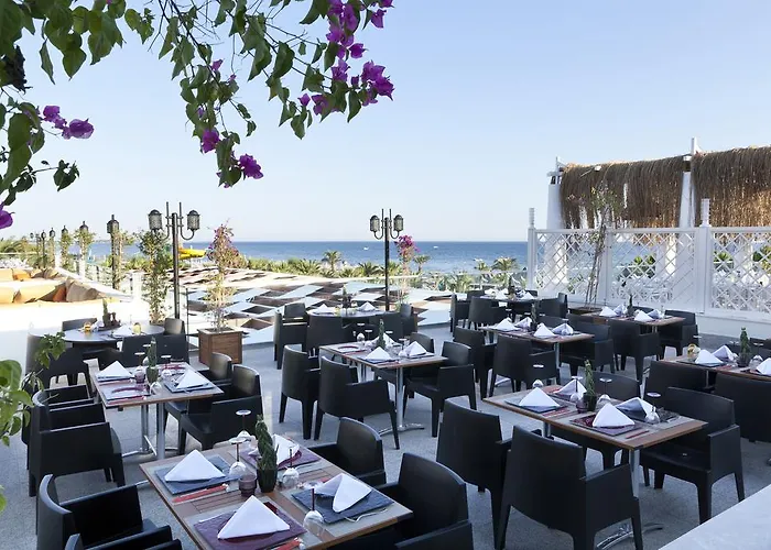 Resort Paloma Oceana