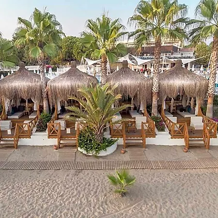 Paloma Oceana 5* Сіде