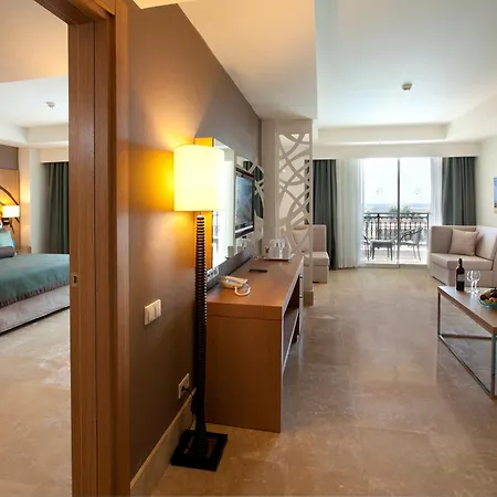 Paloma Oceana シダ