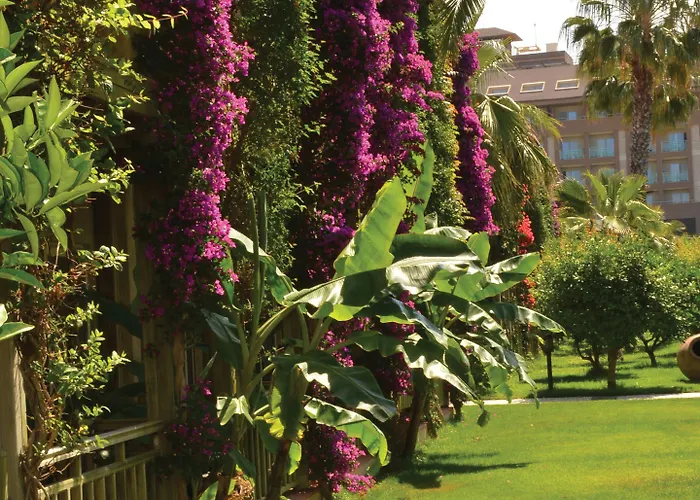 Resort Paloma Oceana 5*