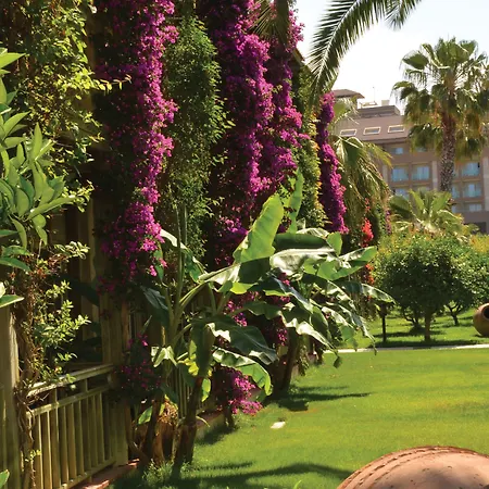 Θέρετρο Paloma Oceana 5*